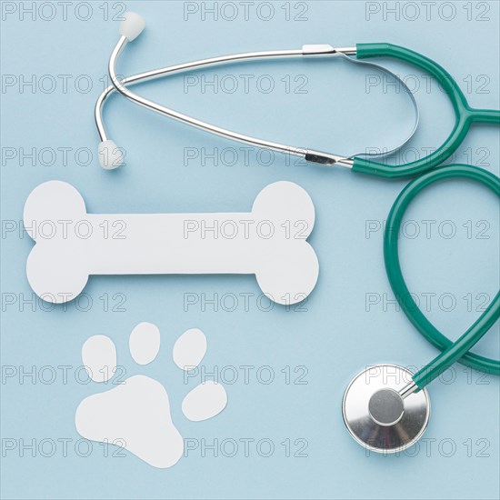 Top view paper bone paw print with stethoscope animal day