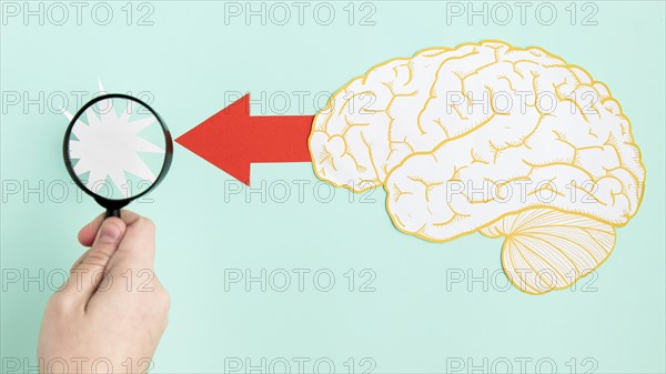 Magnifier paper brain shape