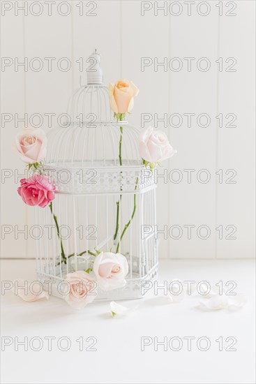 Decorative colorful roses cage