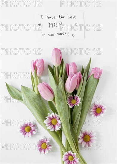 View tulips arrangement