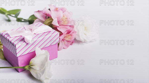 Roses pink lily flowers with gift box white background