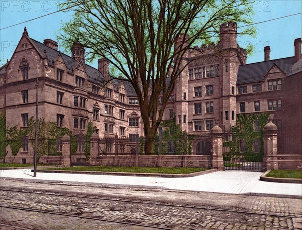 Yale College