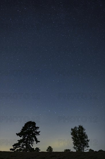 Starry sky in the evening