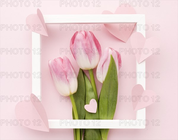 Frame with tulips bouquet