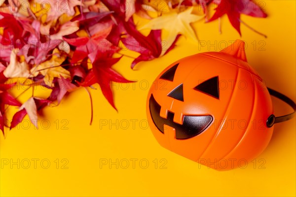 Photo of a Halloween pumpkin on red autumn leaves and a yellow background