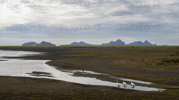 View from the mainland to the Westman Islands