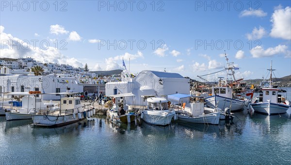 Fishing boats in Naoussa harbour