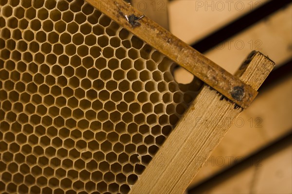 Top view honeycomb