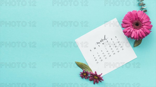 Gerbera flower with march calendar table