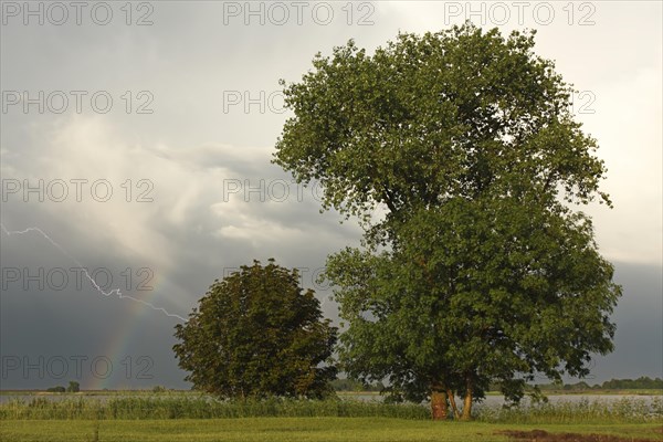 Rainbow with thunderstorm lightning on the Lower Weser Island Strohauser Plate