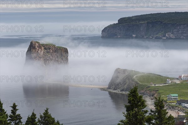 Fog at Perce Rock