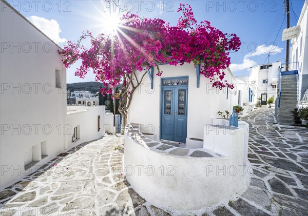 White Cycladic house with blue door and pink bougainvillea
