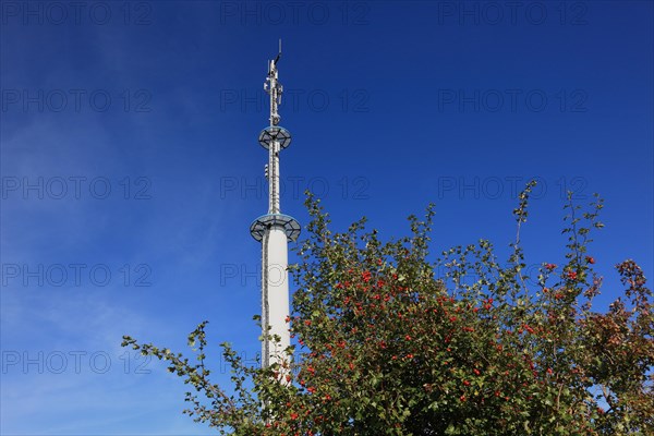 Transmission mast with various antennas for directional radio and mobile radio