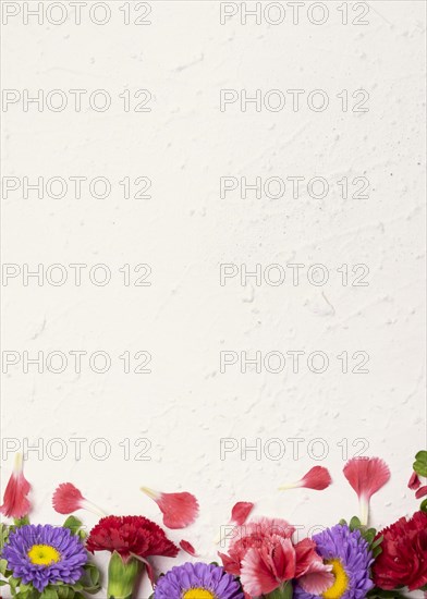 Floral copy space background with roses daisies