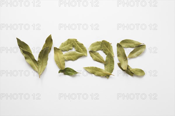 Vege lettering made bay laurel leaves