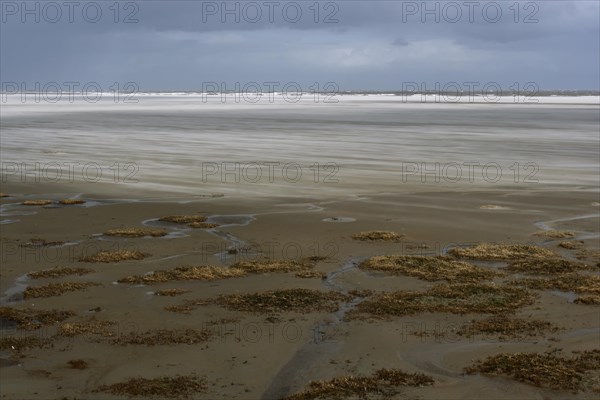View into the mudflats to the north on the island of Minsener Oog