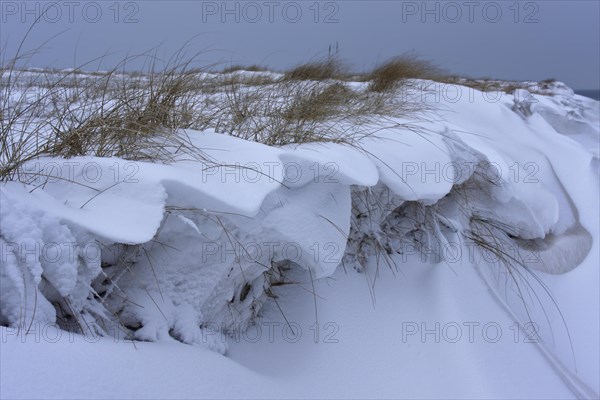 Snow-covered dunes on the island of Minsener Oog