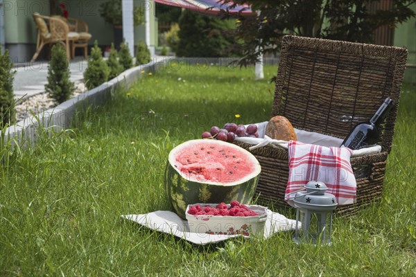 Picnic basket fruits green grass