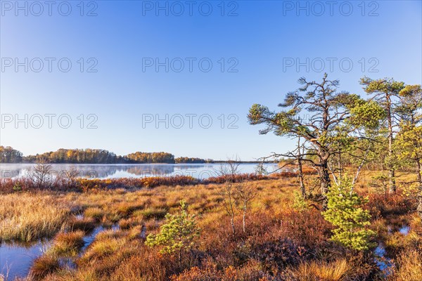 Lake by a bog on a beautiful autumn day in the wilderness