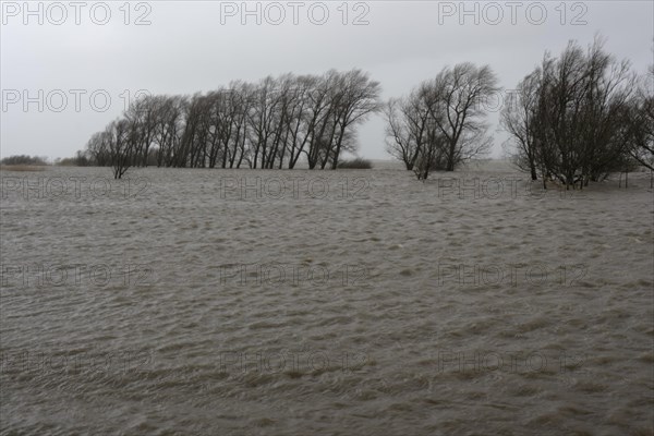 Flooded meadow after a storm surge on the Lower Weser island of Strohauser Plate