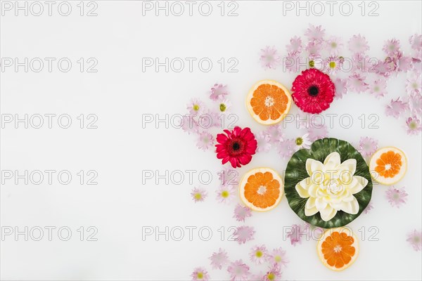 High angle view bath milk decorated with grapefruit slices various flowers