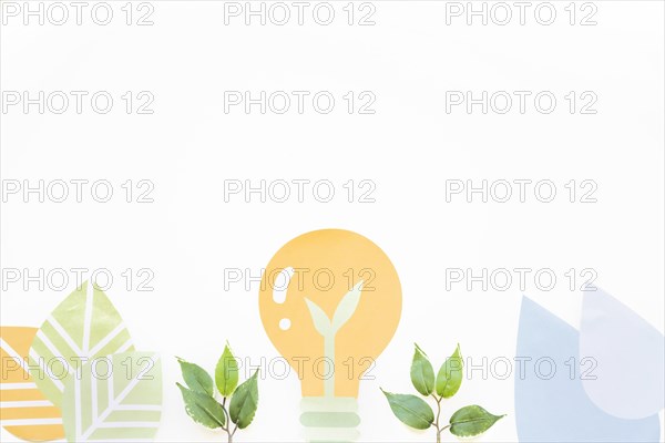 Light bulb plants