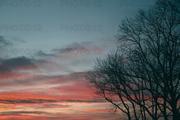 Inspiring view sunset light