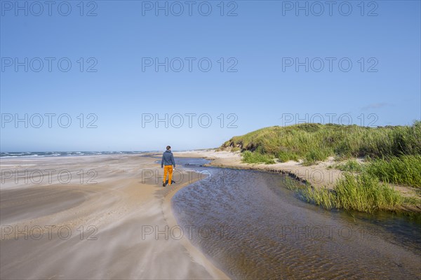 Tourist on sandy beach by the sea with overgrown dunes