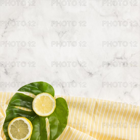 Lemon monstera leaf with copy space