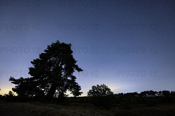 Starry sky in the evening