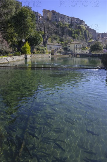 La Peschiera Fishpond