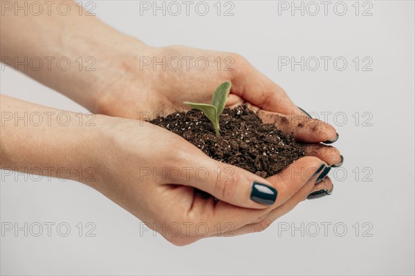 Side view female hands holding soil little plant