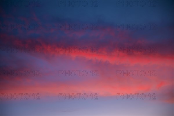 Beautiful clouded sky pink shades