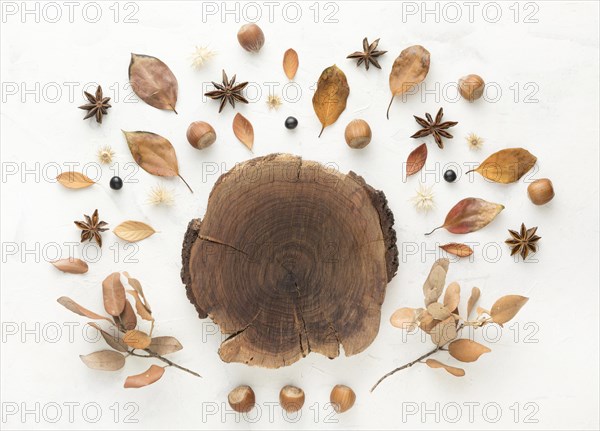 Top view wood with autumn leaves