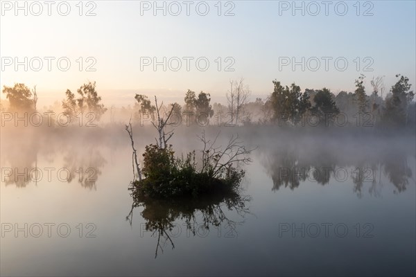 Bog lake