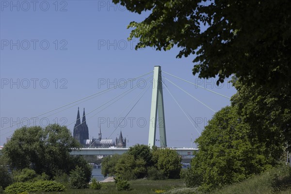 Rhine Bridge