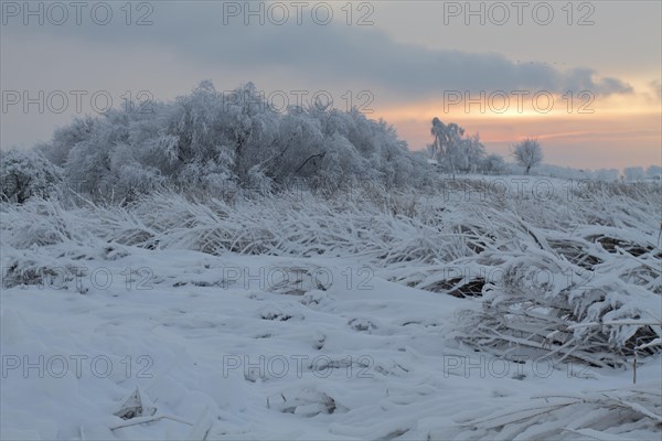 Winter on the Weser