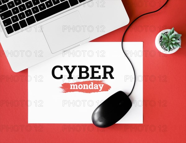 Top view laptop mouse with plant cyber monday