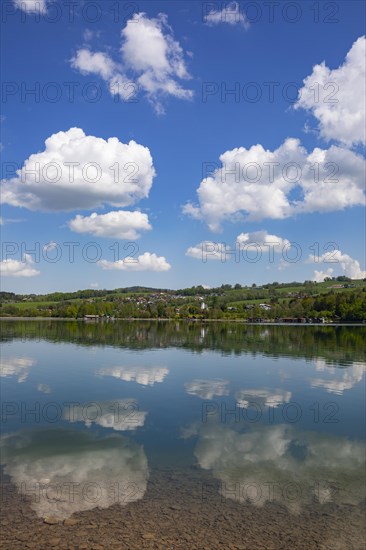 (Cumulus) clouds reflected in the Irrsee, Zell am moss, Salzkammergut, Upper Austria, Austria, Europe