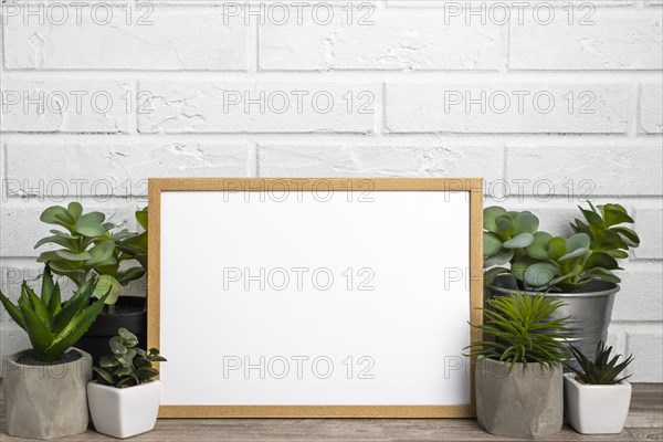 Blank frame flower pots