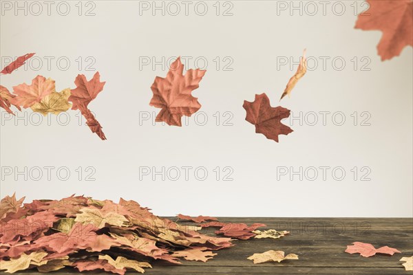 Fall leaves flying bunch foliage