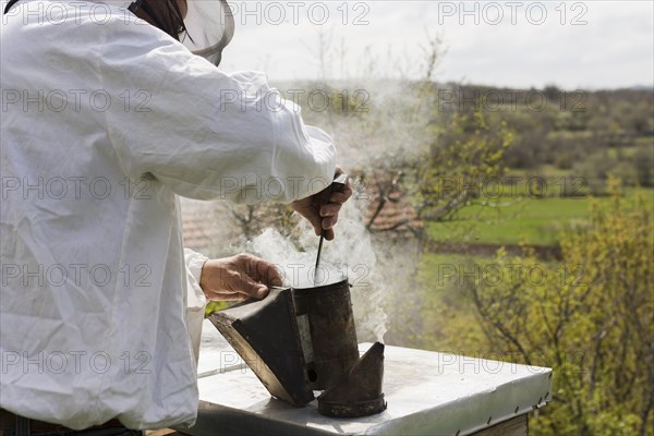 Beekeeper extracting honey