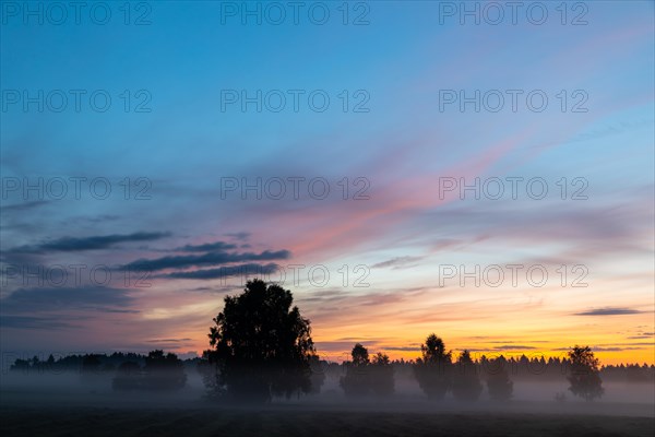 Wet meadow