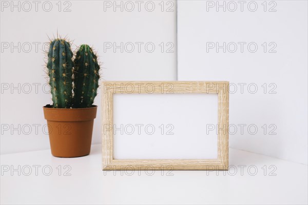Frame corner cactus