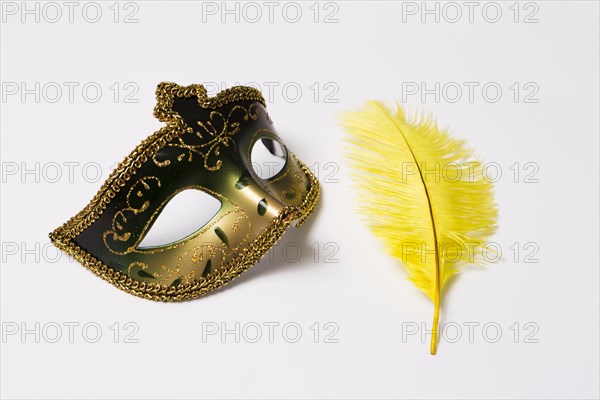 Feather mask