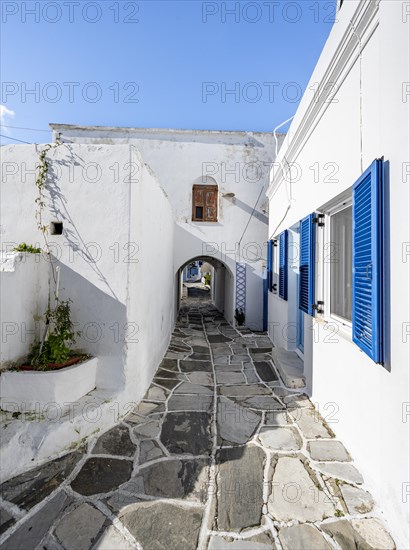 White Cycladic houses with blue doors and windows and flower pots