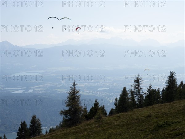 Paraglider