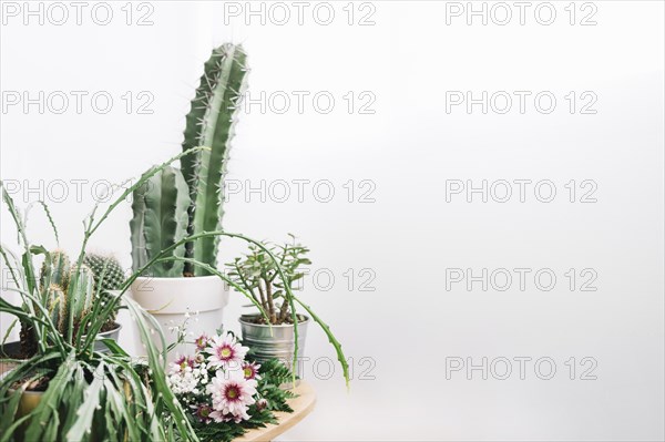 Floral composition with space right cactus