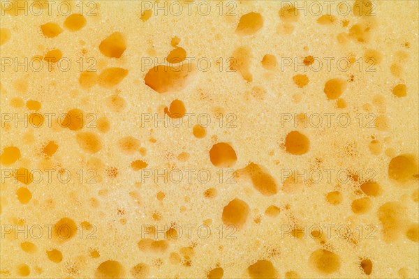 Sponge texture