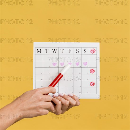 Front view menstruation calendar with hearts flowers